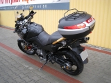 suzuki-2